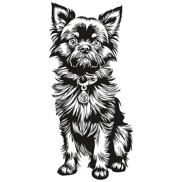 stock vector Affenpinscher dog realistic pet illustration, hand drawing face black and white vector realistic pet silhouette