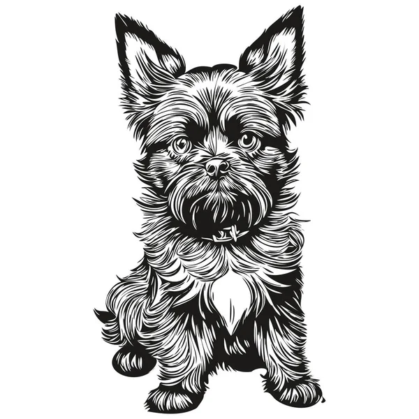 Affenpinscher Dog Silhouette Pet Character Clip Art Vector Pets Drawing — Stock Vector