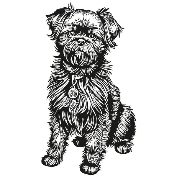 Аффенпиншер Собака Футболка Отпечаток Черно Белый Милый Смешной Контур Рисунок — стоковый вектор