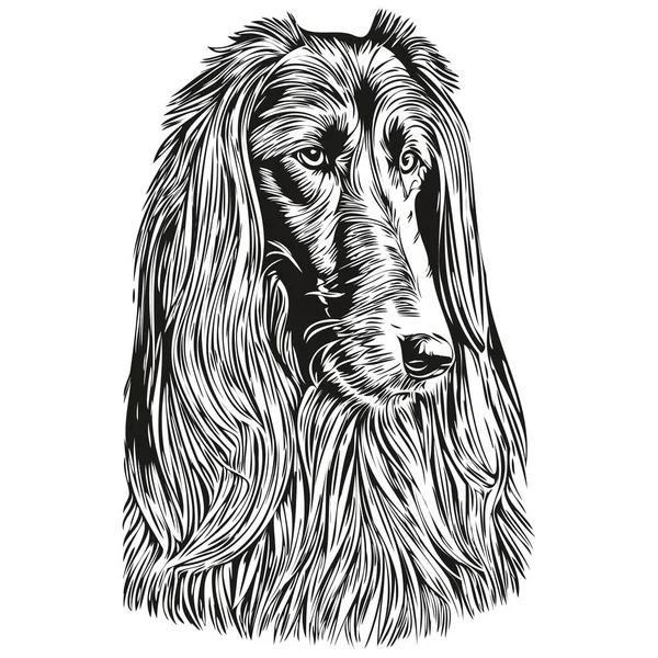 Afghansk Hund Hund Svart Teckning Vektor Isolerad Ansikte Målning Skiss — Stock vektor
