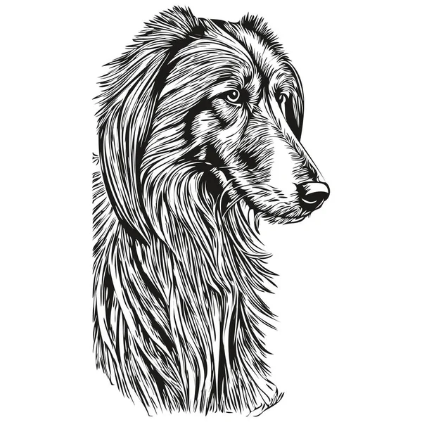 Afghansk Hund Hund Svart Teckning Vektor Isolerad Ansikte Målning Skiss — Stock vektor