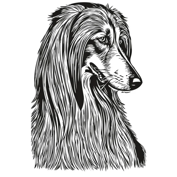 Afghan Hound Cão Linha Desenho Clip Arte Animal Mão Desenho —  Vetores de Stock