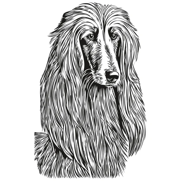 Afgański Pies Pies Grawerowany Wektor Portret Twarz Kreskówka Vintage Rysunek — Wektor stockowy