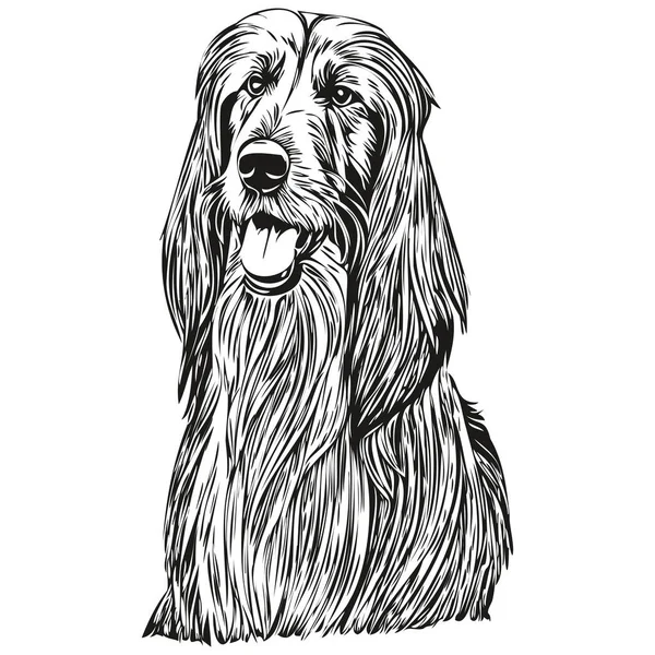 Афганський Собака Гад Гравірований Векторний Портрет Обличчя Мультфільм Старовинний Малюнок — стоковий вектор