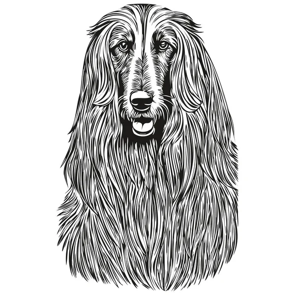 Афганська Гончака Порода Собак Лінія Малюнок Кліп Мистецтво Тварин Рука — стоковий вектор