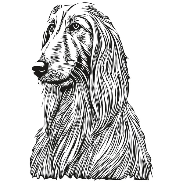 Afghan Hound Dog Cartoon Face Ink Portrait Desenho Esboço Preto — Vetor de Stock