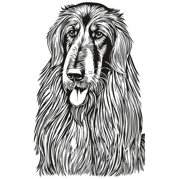 Afgański Pies Pies Twarz Wektor Portret Zabawny Zarys Zwierzę Ilustracja — Wektor stockowy