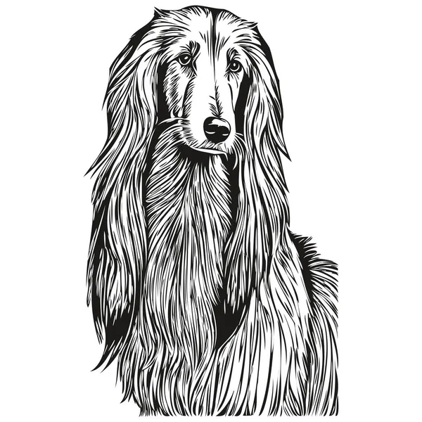 Afghan Hound Hond Cartoon Gezicht Inkt Portret Zwart Wit Schets — Stockvector