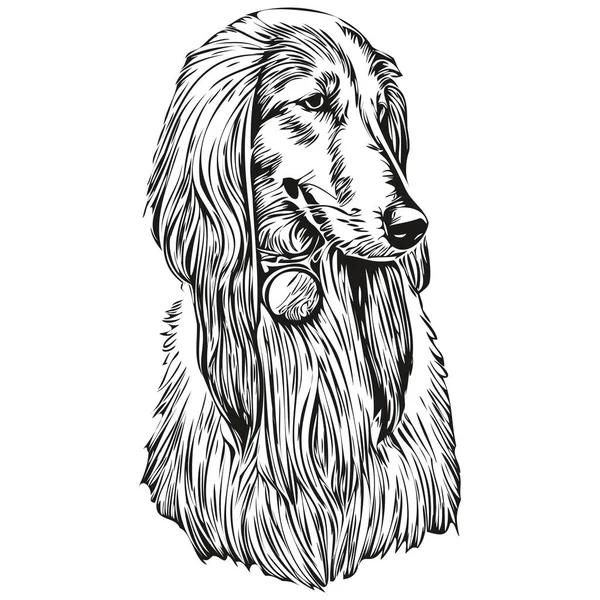 Latest News Embassy Afghanistan Tokyoアフガニスタンの猟犬の顔ベクトルの肖像画 面白いアウトラインペットイラスト白い背景スケッチ — ストックベクタ