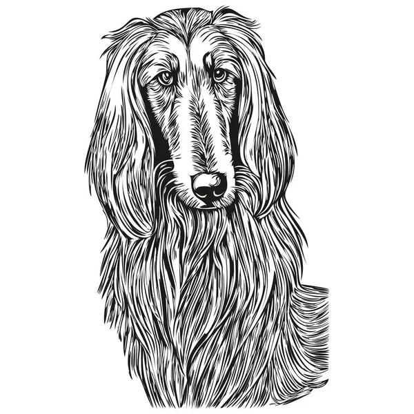 Afghan Hound Hond Hand Getrokken Logo Tekening Zwart Wit Lijn — Stockvector