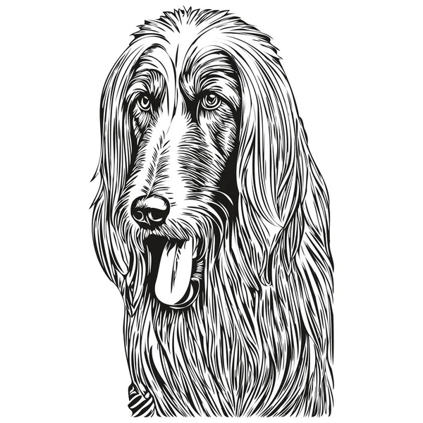 Afghan Hound Hond Hand Getrokken Logo Tekening Zwart Wit Lijn — Stockvector
