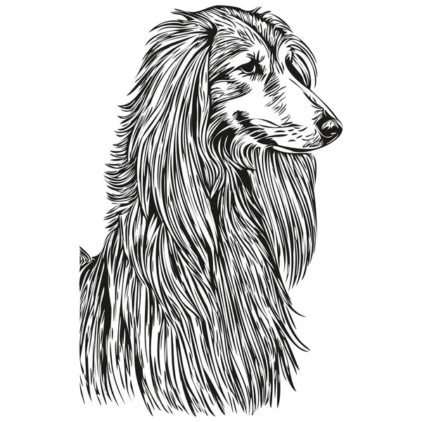 Афганская Собака Рисовал Логотип Рисовал Черно Белая Линия Живописи Животных — стоковый вектор