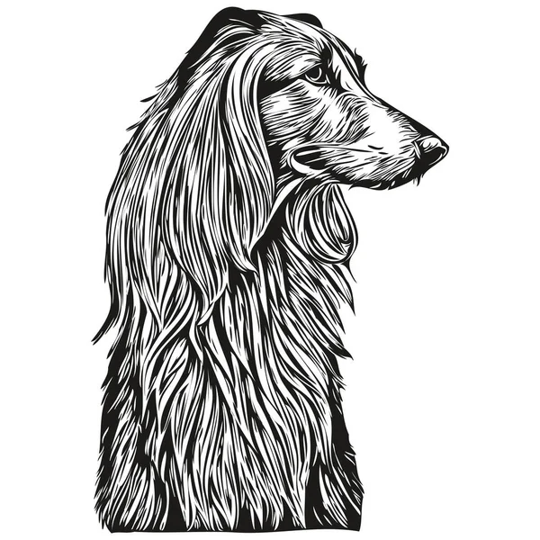 Afghan Hound Pies Głowa Linii Rysunek Wektor Ręcznie Rysowane Ilustracja — Wektor stockowy