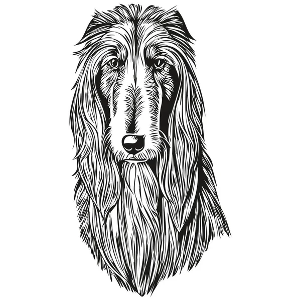 Afghan Hound Dog Head Line Drawing Vector Ilustração Desenhada Mão — Vetor de Stock