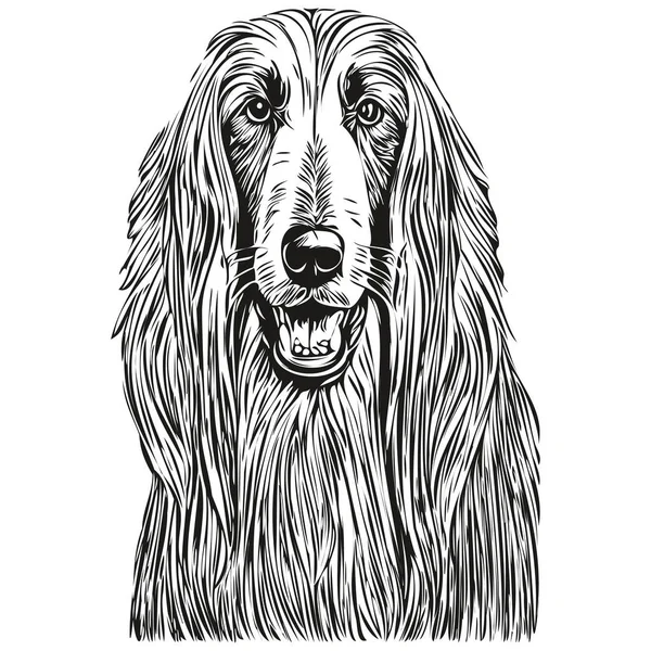 Afghan Hound Dog Head Line Drawing Vector Hand Drawn Illustration — Stock Vector