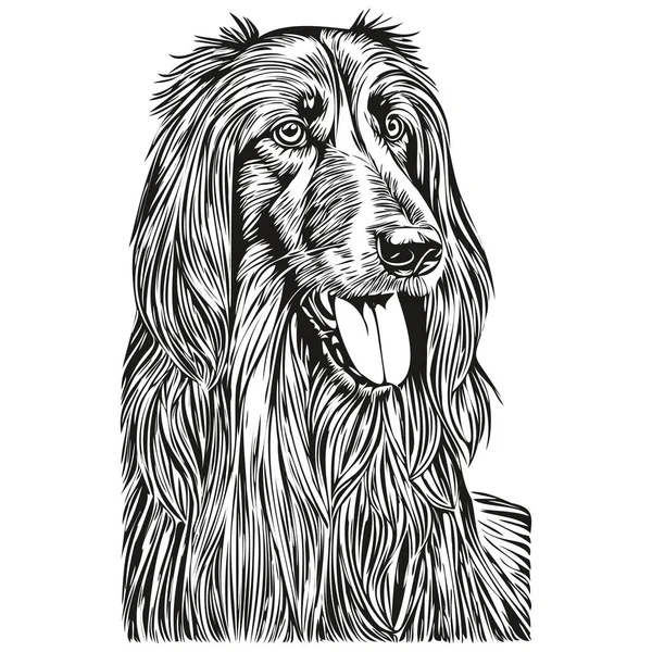 アフガン猟犬インクスケッチ図面 ヴィンテージタトゥーまたはTシャツプリント黒と白のベクトル — ストックベクタ