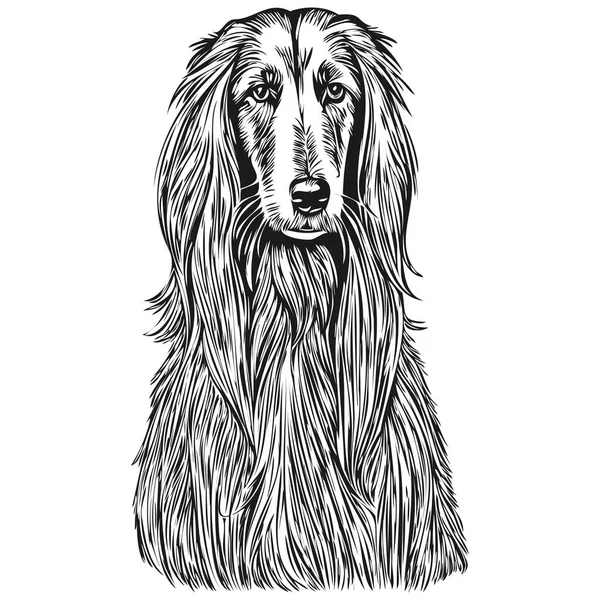 Afgański Pies Pies Linii Ilustracja Czarny Biały Szkic Twarz Portret — Wektor stockowy