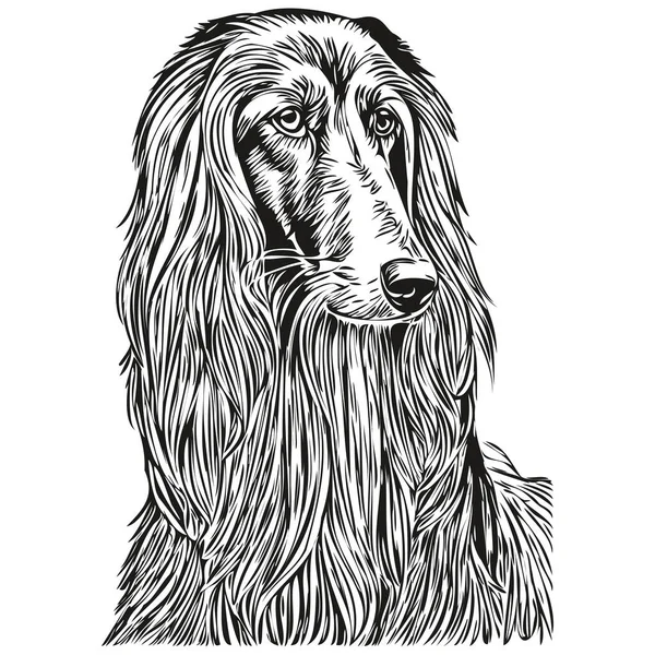 Afghan Hound Dog Isolated Drawing White Background Head Pet Line — Stock Vector