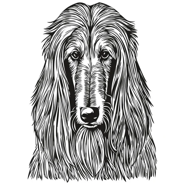 アフガニスタンの猟犬の線のイラスト 黒と白のインクのスケッチの顔の肖像画ベクトルのスケッチの描画 — ストックベクタ