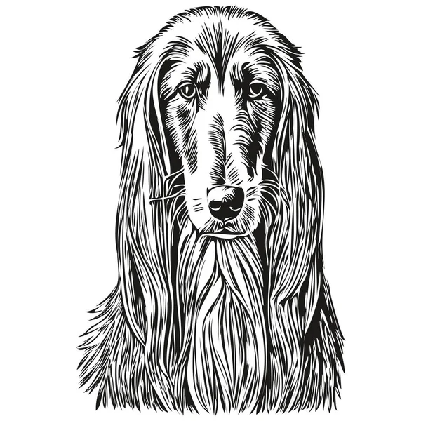 Afgański Pies Pies Gończy Logo Wektor Czarno Biały Vintage Ładny — Wektor stockowy