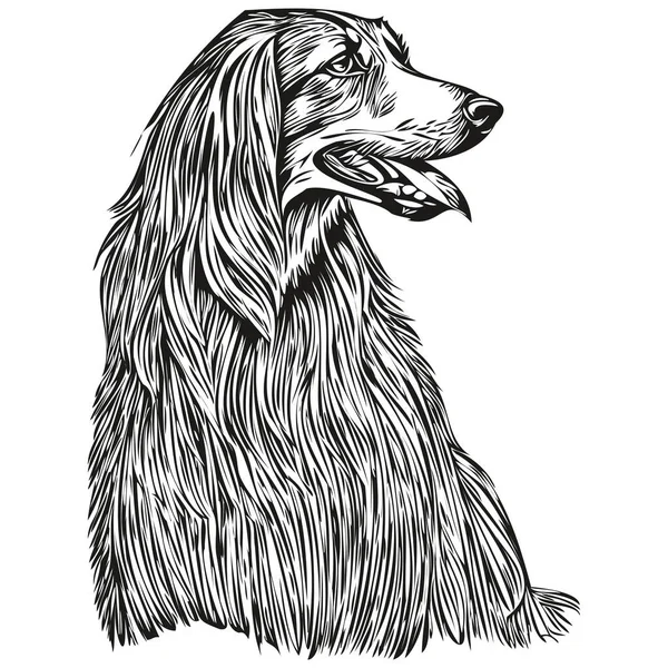 Αφγανός Κυνηγόσκυλο Λογότυπο Διάνυσμα Μαύρο Και Άσπρο Vintage Χαριτωμένο Κεφάλι — Διανυσματικό Αρχείο