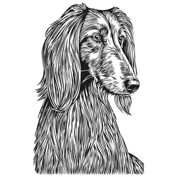 Afghan Hound Cão Esboço Lápis Desenho Arte Personagem Preto Fundo —  Vetores de Stock