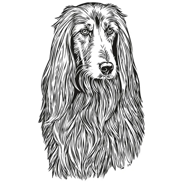 Afgański Pies Pies Zarys Ołówek Rysunek Grafika Czarny Charakter Białym — Wektor stockowy