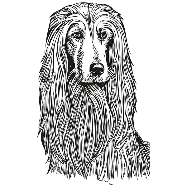 アフガニスタン猟犬の鉛筆手描きベクトル アウトラインイラストペットの顔のロゴ黒と白の現実的な品種のペット — ストックベクタ