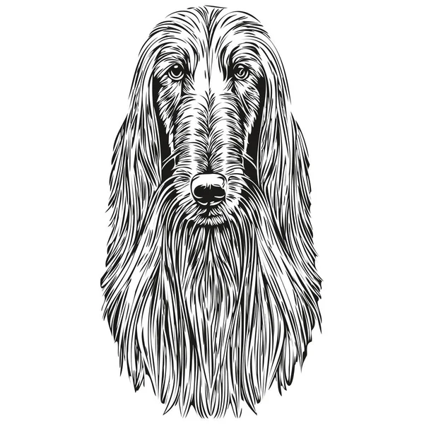 Afghan Hound Hond Potlood Hand Tekening Vector Schets Illustratie Huisdier — Stockvector