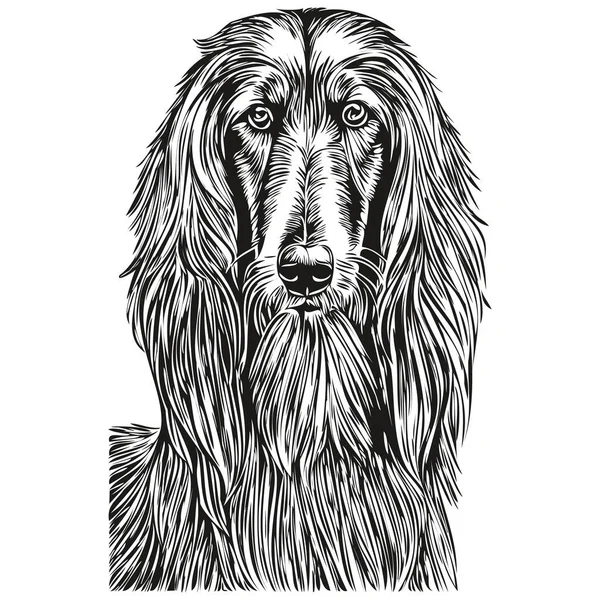 Afghansk Hund Sällskapsdjur Silhuett Djur Linje Illustration Handritad Svart Och — Stock vektor