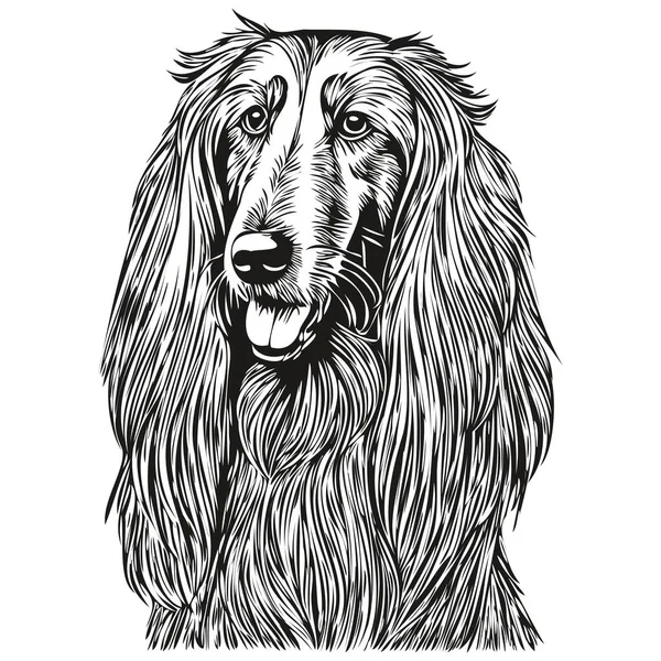 Силуэт Собаки Афганской Собаки Рисунок Линии Животного Черно Белый Векторный — стоковый вектор