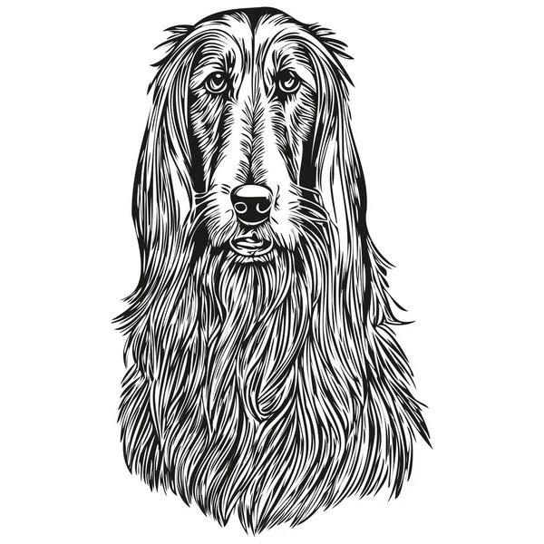 アフガニスタンの猟犬のペットのスケッチ図 黒と白の彫刻ベクトルのスケッチの描画 — ストックベクタ