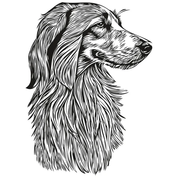 Afgański Pies Pies Portret Wektor Zwierzę Ręka Rysunek Dla Tatuaż — Wektor stockowy