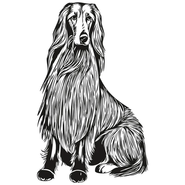 Afghan Hound Dog Portrait Vector Animal Hand Drawing Tattoo Tshirt — Vetor de Stock