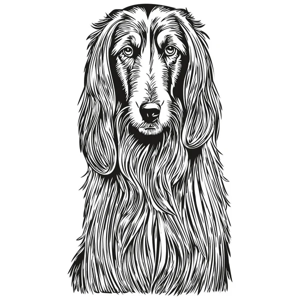 アフガニスタン犬の肖像画ベクトル 動物の手描きの入れ墨やTシャツのプリントイラスト — ストックベクタ