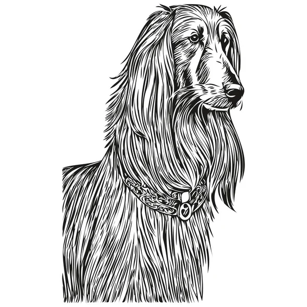 Afghansk Hund Realistisk Blyanttegning Vektor Linjetegning Hundeansikt Svart Hvitt Skissetegning – stockvektor