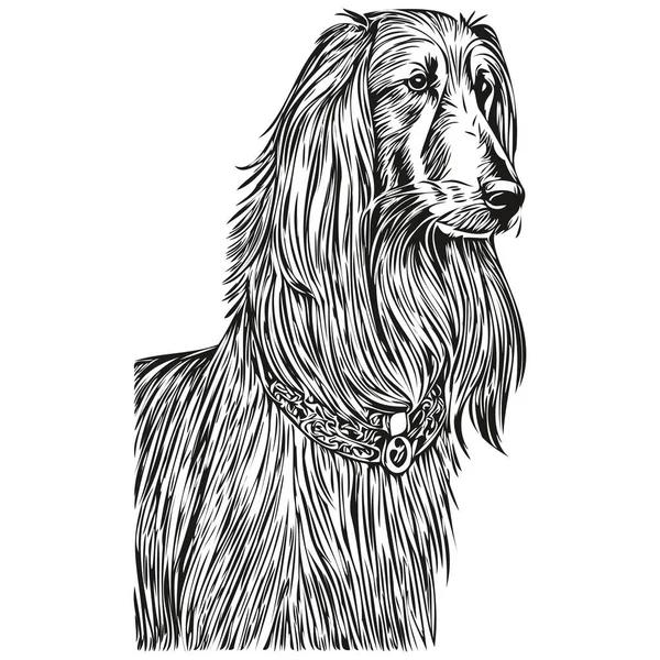 Afghan Hound Perro Dibujo Lápiz Realista Vector Ilustración Arte Línea — Archivo Imágenes Vectoriales