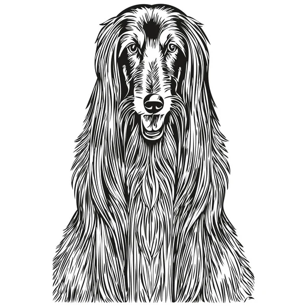 Afghansk Hund Realistisk Penna Ritning Vektor Linje Konst Illustration Hund — Stock vektor