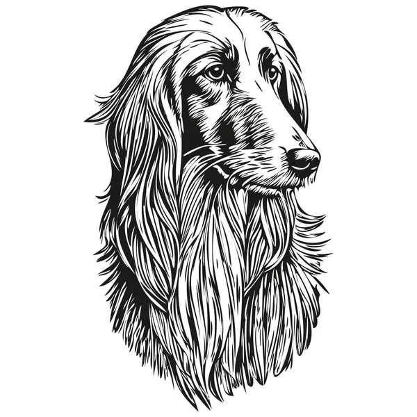 アフガニスタンの猟犬現実的なペットのイラスト 手描きの顔黒と白のベクトル現実的な品種のペット — ストックベクタ