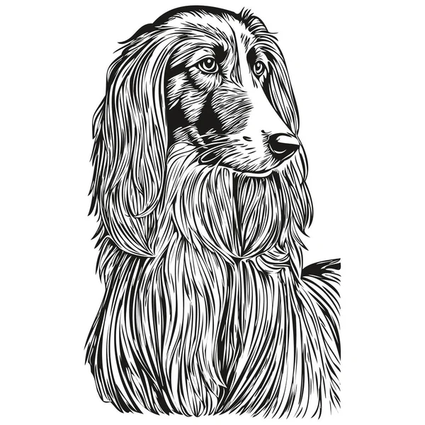アフガニスタンの猟犬現実的なペットのイラスト 手描きの顔黒と白のベクトルスケッチの描画 — ストックベクタ