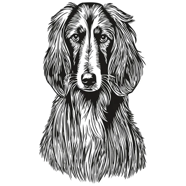 Afghanischer Hund Silhouette Haustier Charakter Clip Art Vektor Haustiere Zeichnung — Stockvektor