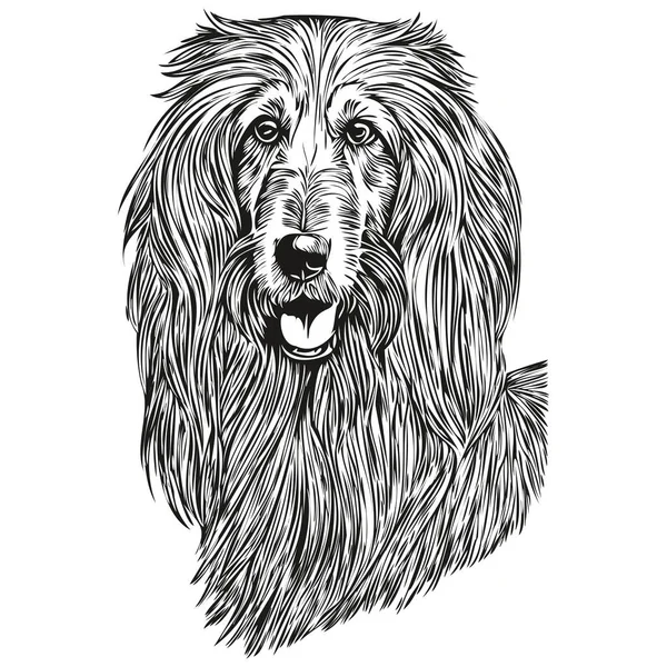 Afghánec Pes Realistický Pet Ilustrace Ručně Kreslení Tvář Černobílý Vektor — Stockový vektor