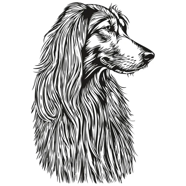 Latest News Embassy Afghanistan Tokyoアフガニスタンの猟犬のシルエットのペットキャラクター クリップアートベクトルのペットが白黒スケッチを描く — ストックベクタ
