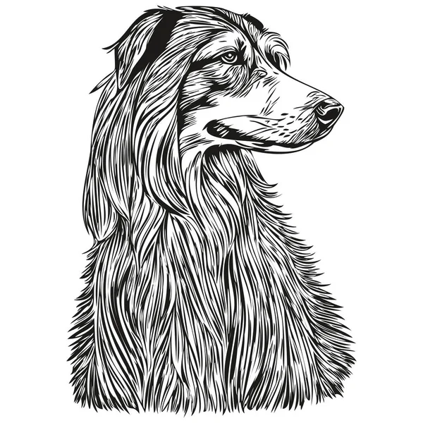 Afgan Köpeği Shirt Siyah Beyaz Sevimli Komik Çizim Vektör Gerçekçi — Stok Vektör