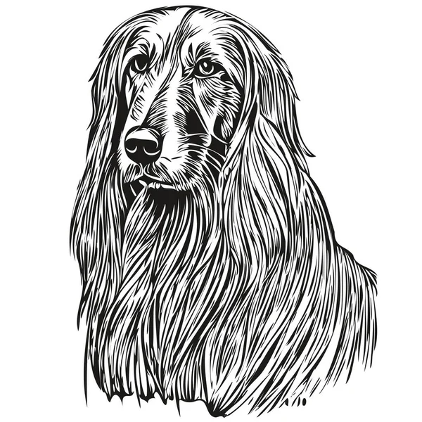 Афганський Собака Гончак Векторний Малюнок Обличчя Портрет Ескіз Вінтажного Стилю — стоковий вектор