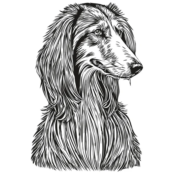 Афганская Собака Собака Вектор Лица Рисунок Портрет Эскиз Винтажный Стиль — стоковый вектор