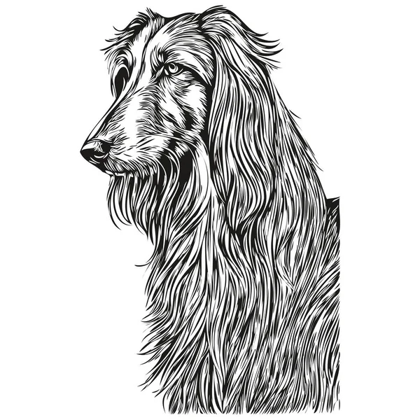 Afghan Hound Dog Vector Face Drawing Portrait Sketch Vintage Style — Stock Vector