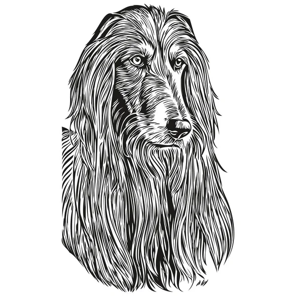 Afghansk Hund Vektor Grafik Handritad Penna Djur Linje Illustration Realistisk — Stock vektor