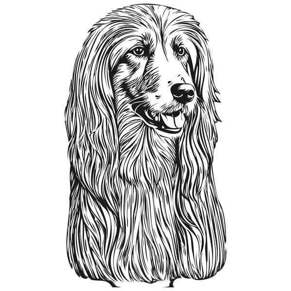 アフガニスタンの猟犬ベクトルグラフィック 手描きの鉛筆動物ラインイラスト — ストックベクタ