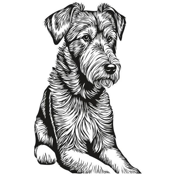 Airedale Terrier Chien Visage Vecteur Portrait Drôle Contour Animal Illustration — Image vectorielle